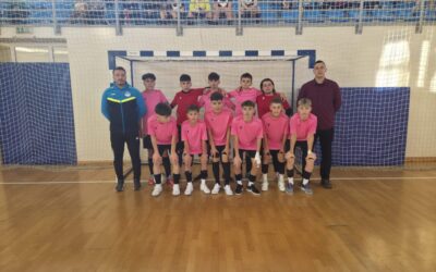 Malonogometno ludilo